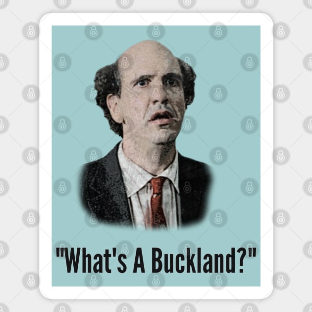 Ted - What's A Buckland? [SCRUBS] Magnet by Absolute Will